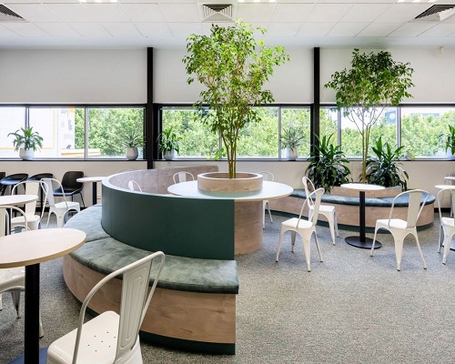 Breakout Area